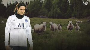 Edinson Cavani tond un mouton