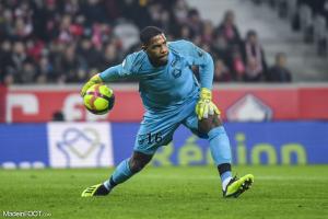 Mike Maignan a entamé sa quatrième saison sous les couleurs du Lille OSC.